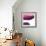 Swish of Magenta III-Piper Rhue-Framed Premium Giclee Print displayed on a wall