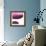 Swish of Magenta III-Piper Rhue-Framed Premium Giclee Print displayed on a wall