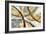 Swishes-null-Framed Art Print