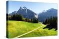 Stretched Canvas Print