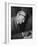 Swiss Architect Le Corbusier Leaning Down to Write with His Glasses Pushed Back on His Forehead-null-Framed Photographic Print