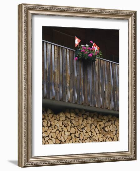 Swiss Flag and Flower Pot, Binn, Wallis, Switzerland-Rolf Nussbaumer-Framed Photographic Print