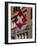Swiss Flag, Zurich Old Town, Switzerland, Europe-Thouvenin Guy-Framed Photographic Print