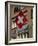 Swiss Flag, Zurich Old Town, Switzerland, Europe-Thouvenin Guy-Framed Photographic Print