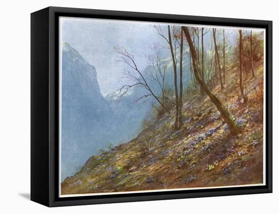 Swiss Hill Slope-John Fulleylove-Framed Stretched Canvas