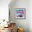 Swiss Roll-Sylvia Paul-Framed Giclee Print displayed on a wall