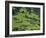 Switzerland, Bern Canton, Grindelwald, Apline Farming Community-Jamie And Judy Wild-Framed Photographic Print