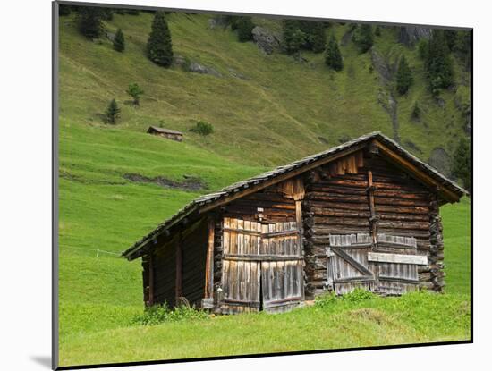 Switzerland, Bern Canton, Grindelwald, Barns in Alpine Setting-Jamie And Judy Wild-Mounted Photographic Print