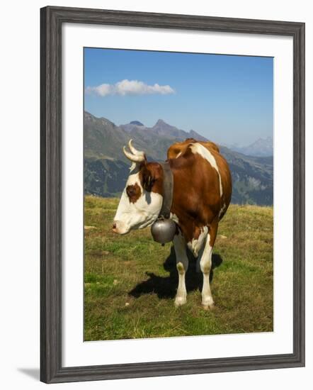 Switzerland, Bern Canton, Mannlichen Area, Swiss Cow in Alpine Setting-Jamie And Judy Wild-Framed Photographic Print