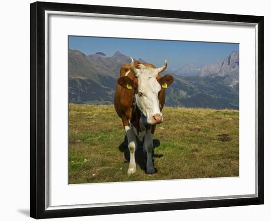 Switzerland, Bern Canton, Mannlichen Area, Swiss Cow in Alpine Setting-Jamie And Judy Wild-Framed Photographic Print