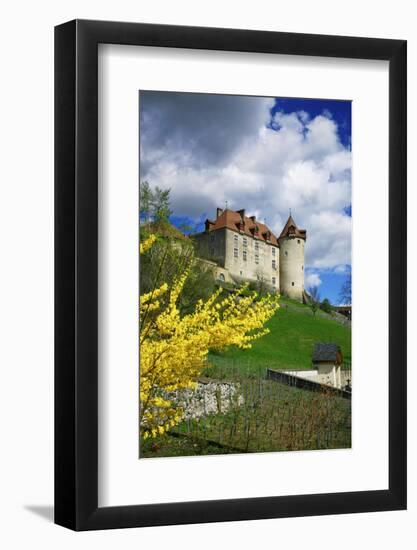 Switzerland, 'Chateau De Gruy?res' in the Swiss Canton Fribourg on a Sunny Spring Day-Uwe Steffens-Framed Photographic Print