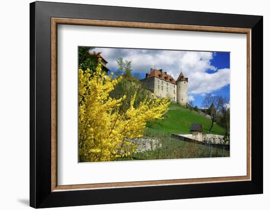 Switzerland, 'Chateau De Gruy?res' in the Swiss Canton Fribourg on a Sunny Spring Day-Uwe Steffens-Framed Photographic Print