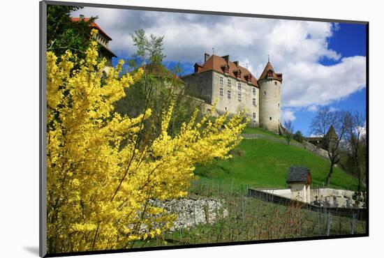 Switzerland, 'Chateau De Gruy?res' in the Swiss Canton Fribourg on a Sunny Spring Day-Uwe Steffens-Mounted Photographic Print