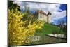 Switzerland, 'Chateau De Gruy?res' in the Swiss Canton Fribourg on a Sunny Spring Day-Uwe Steffens-Mounted Photographic Print