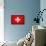 Switzerland Flag Design with Wood Patterning - Flags of the World Series-Philippe Hugonnard-Framed Stretched Canvas displayed on a wall