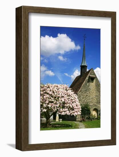 Switzerland, Fribourg on the Sarine River, 'Planche Superieure'-Uwe Steffens-Framed Photographic Print