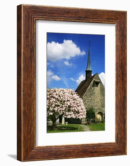 Switzerland, Fribourg on the Sarine River, 'Planche Superieure'-Uwe Steffens-Framed Photographic Print