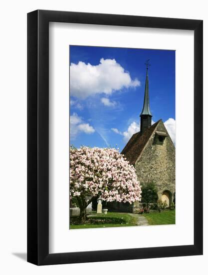 Switzerland, Fribourg on the Sarine River, 'Planche Superieure'-Uwe Steffens-Framed Photographic Print