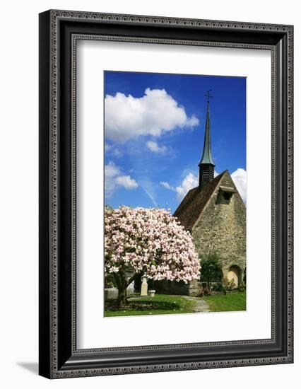 Switzerland, Fribourg on the Sarine River, 'Planche Superieure'-Uwe Steffens-Framed Photographic Print