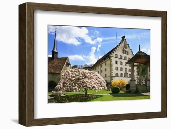 Switzerland, Fribourg on the Sarine River, 'Planche Superieure'-Uwe Steffens-Framed Photographic Print