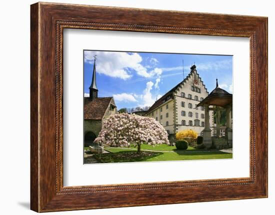 Switzerland, Fribourg on the Sarine River, 'Planche Superieure'-Uwe Steffens-Framed Photographic Print