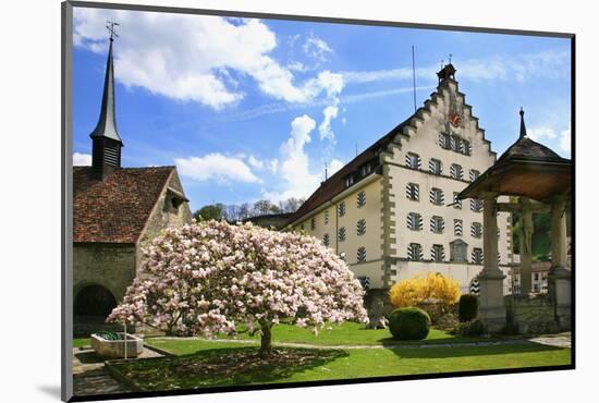 Switzerland, Fribourg on the Sarine River, 'Planche Superieure'-Uwe Steffens-Mounted Photographic Print