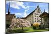 Switzerland, Fribourg on the Sarine River, 'Planche Superieure'-Uwe Steffens-Mounted Photographic Print