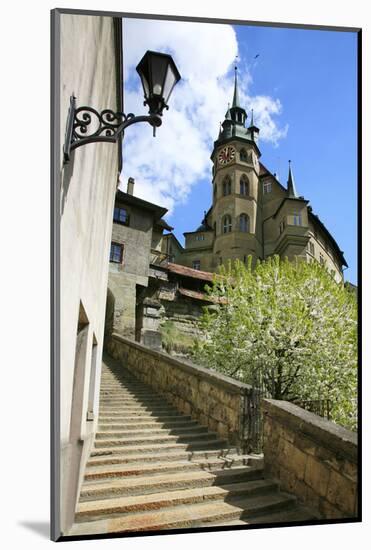 Switzerland, Fribourg on the Sarine River-Uwe Steffens-Mounted Photographic Print