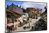 Switzerland, Gruy?res Castle and Town in the Swiss Canton Fribourg-Uwe Steffens-Mounted Photographic Print