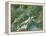 Switzerland, Satellite Image-PLANETOBSERVER-Framed Premier Image Canvas