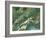 Switzerland, Satellite Image-PLANETOBSERVER-Framed Photographic Print