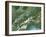 Switzerland, Satellite Image-PLANETOBSERVER-Framed Photographic Print