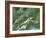 Switzerland, Satellite Image-PLANETOBSERVER-Framed Photographic Print