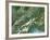 Switzerland, Satellite Image-PLANETOBSERVER-Framed Photographic Print