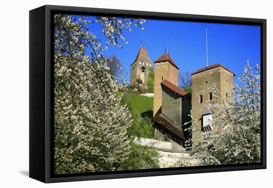 Switzerland, Spring in Fribourg on the Sarine River, Cats Tower and Berne Gate-Uwe Steffens-Framed Premier Image Canvas