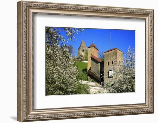 Switzerland, Spring in Fribourg on the Sarine River, Cats Tower and Berne Gate-Uwe Steffens-Framed Photographic Print