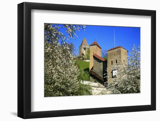 Switzerland, Spring in Fribourg on the Sarine River, Cats Tower and Berne Gate-Uwe Steffens-Framed Photographic Print