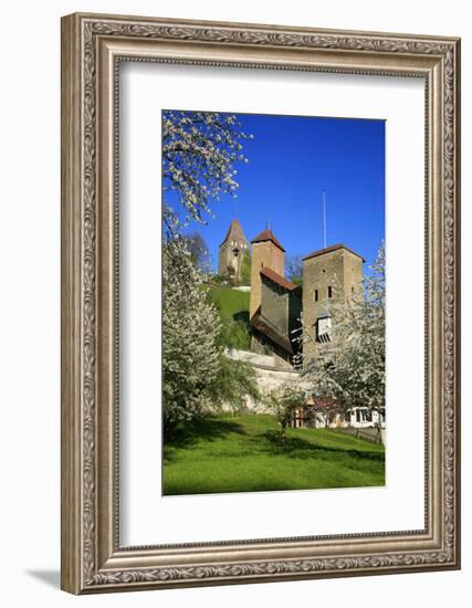 Switzerland, Spring in Fribourg on the Sarine River, Cats Tower and Berne Gate-Uwe Steffens-Framed Photographic Print