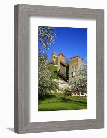 Switzerland, Spring in Fribourg on the Sarine River, Cats Tower and Berne Gate-Uwe Steffens-Framed Photographic Print