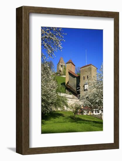 Switzerland, Spring in Fribourg on the Sarine River, Cats Tower and Berne Gate-Uwe Steffens-Framed Photographic Print