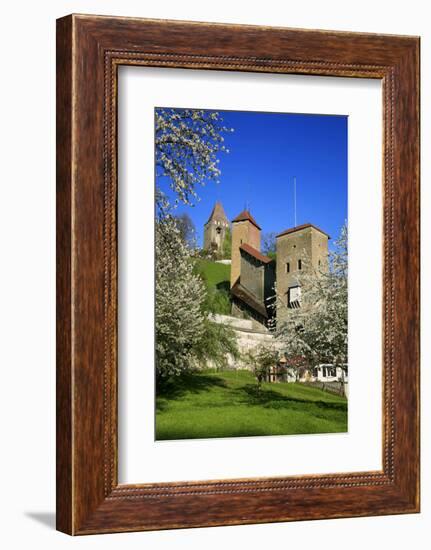 Switzerland, Spring in Fribourg on the Sarine River, Cats Tower and Berne Gate-Uwe Steffens-Framed Photographic Print