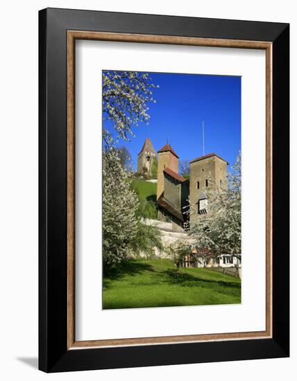 Switzerland, Spring in Fribourg on the Sarine River, Cats Tower and Berne Gate-Uwe Steffens-Framed Photographic Print