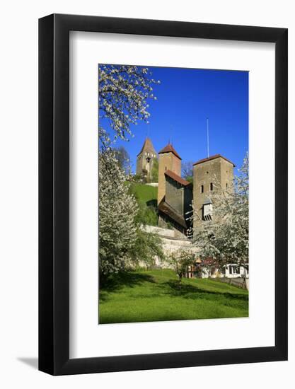 Switzerland, Spring in Fribourg on the Sarine River, Cats Tower and Berne Gate-Uwe Steffens-Framed Photographic Print