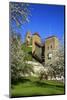 Switzerland, Spring in Fribourg on the Sarine River, Cats Tower and Berne Gate-Uwe Steffens-Mounted Photographic Print