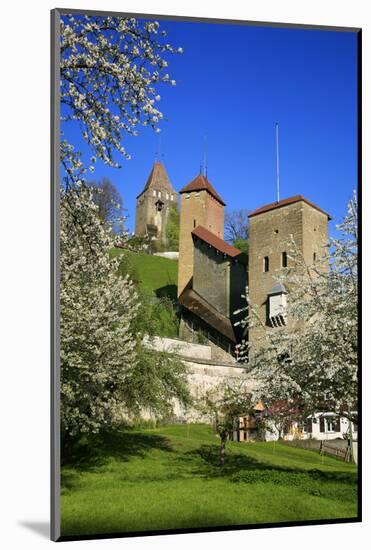 Switzerland, Spring in Fribourg on the Sarine River, Cats Tower and Berne Gate-Uwe Steffens-Mounted Photographic Print