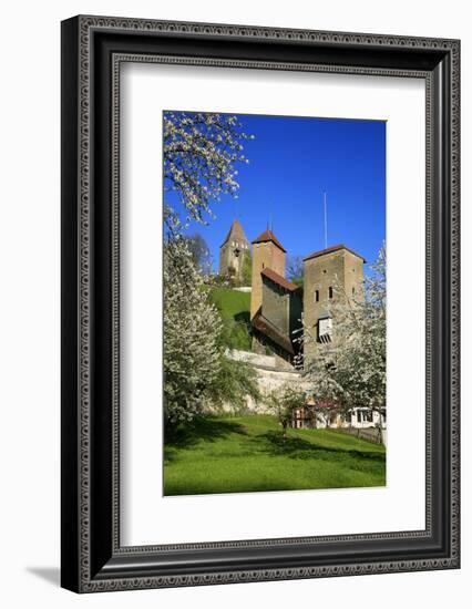 Switzerland, Spring in Fribourg on the Sarine River, Cats Tower and Berne Gate-Uwe Steffens-Framed Photographic Print