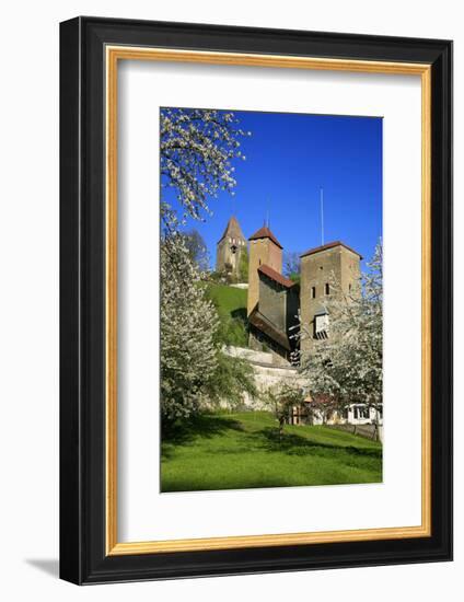 Switzerland, Spring in Fribourg on the Sarine River, Cats Tower and Berne Gate-Uwe Steffens-Framed Photographic Print