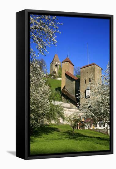 Switzerland, Spring in Fribourg on the Sarine River, Cats Tower and Berne Gate-Uwe Steffens-Framed Premier Image Canvas