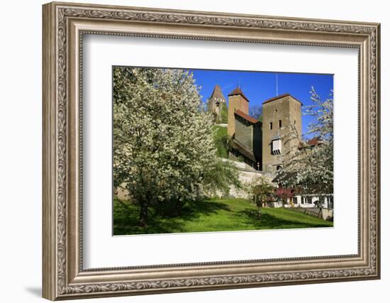 Switzerland, Spring in Fribourg on the Sarine River, Cats Tower and Berne Gate-Uwe Steffens-Framed Photographic Print