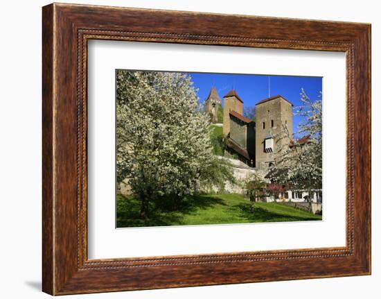 Switzerland, Spring in Fribourg on the Sarine River, Cats Tower and Berne Gate-Uwe Steffens-Framed Photographic Print